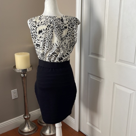 Express Dress - Picture 3 of 6